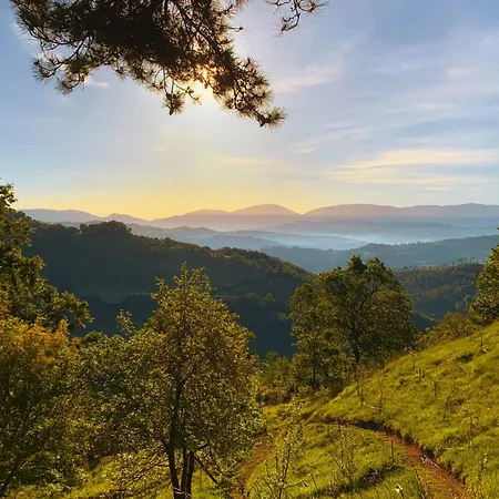 Διαμέρισμα Suflora *