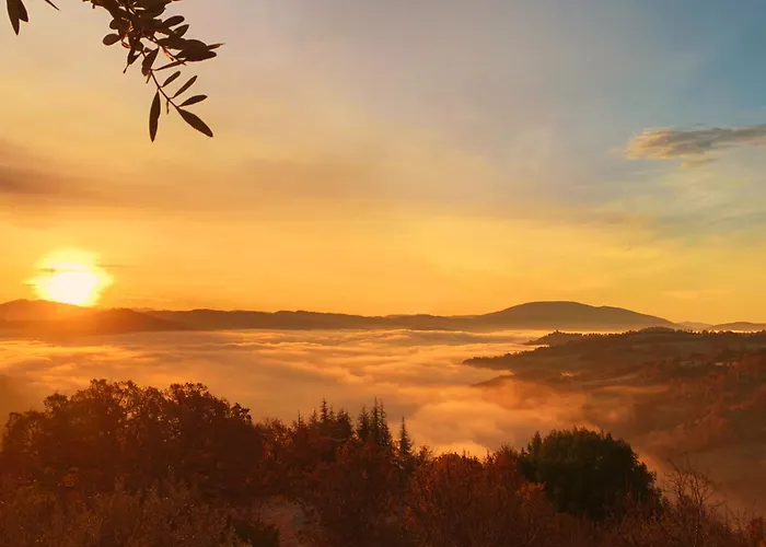 Suflora Apartamento *