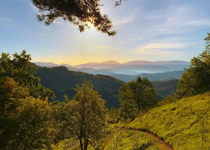 Apartamento Suflora *